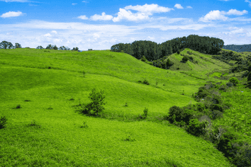 334c Komokoriki Hill Road, Makarau