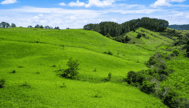 334c Komokoriki Hill Road, Makarau