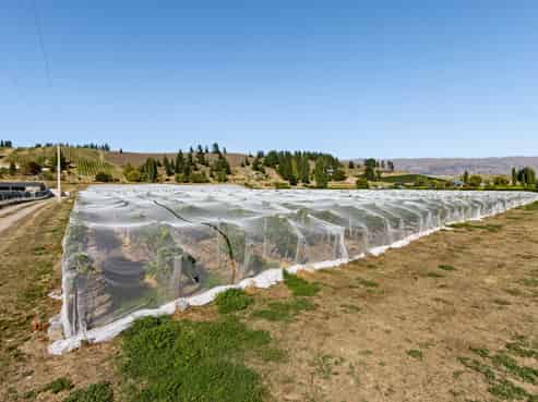 Lot 2 Earnscleugh Road, Alexandra