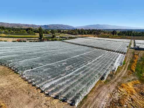 Lot 2 Earnscleugh Road, Alexandra