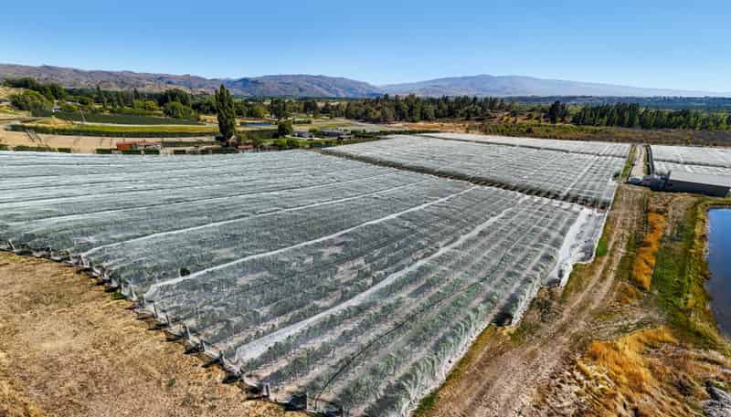 Lot 2 Earnscleugh Road, Alexandra