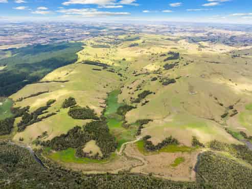 1488 Mititai Road, Arapohue