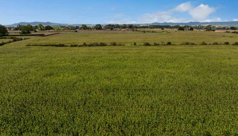 570A Te Kowhai Road, Te Kowhai