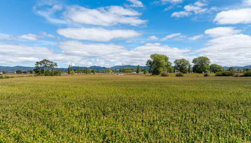 570A Te Kowhai Road, Te Kowhai