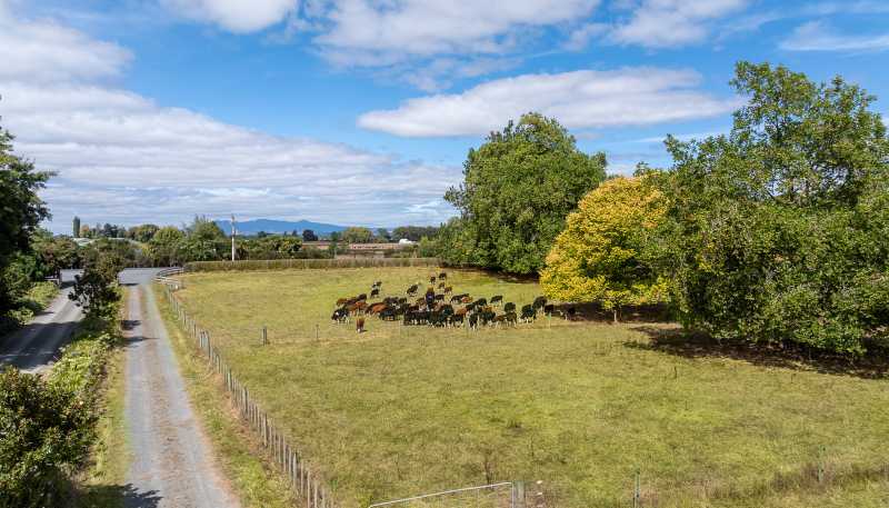 570A Te Kowhai Road, Te Kowhai