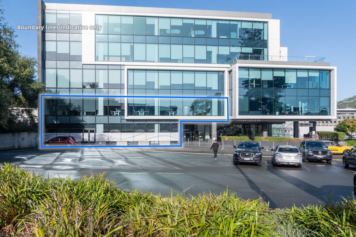 Medical/Showroom space for lease in Remuera