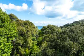 6 Obrien Road, Omiha