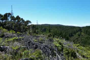 2 Knight Ridge Road, Kawau Island