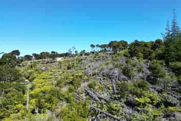 2 Knight Ridge Road, Kawau Island