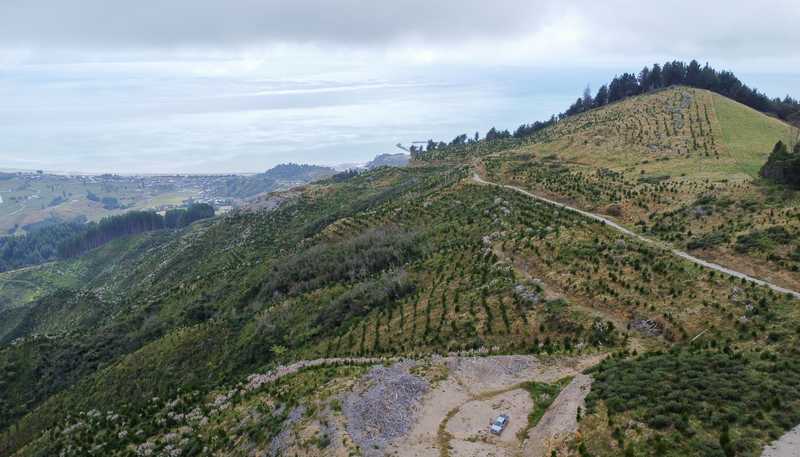  Bird Road, Clifton