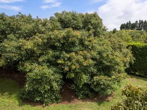 22 Ongare Point Road, Katikati