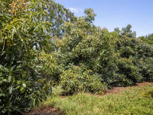 22 Ongare Point Road, Katikati