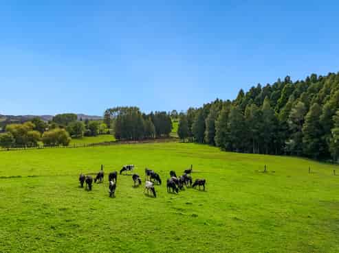 7144A State Highway 1, Pakaraka