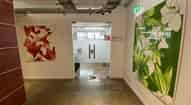 Open gallery