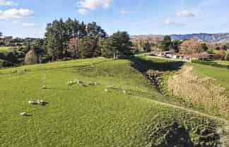 39A The Avenue, Levin