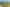409 The Drive, Whangamata