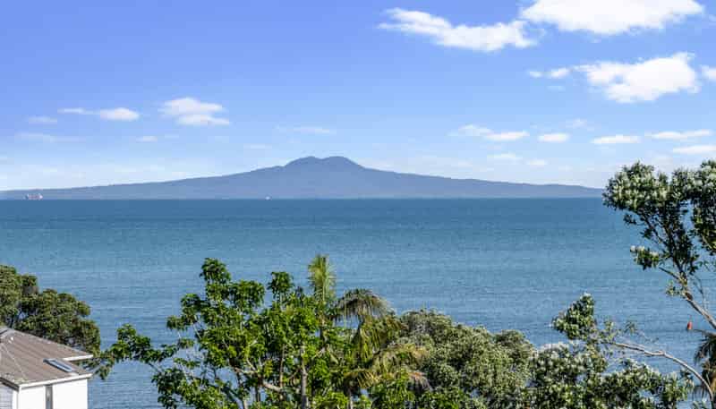 19 Zita Avenue, Matakatia