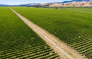 3640 State Highway 63, Wairau Valley