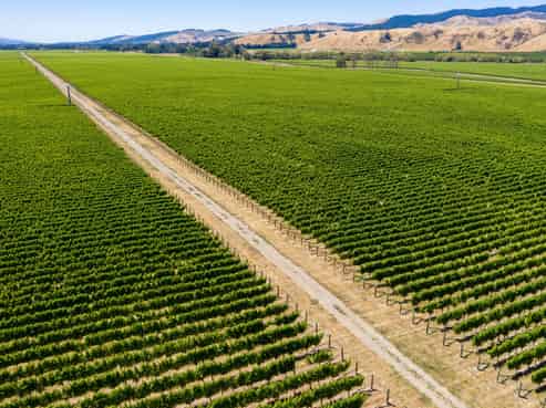 3640 State Highway 63, Wairau Valley