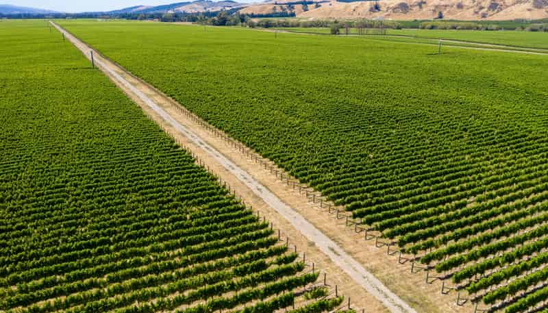 3640 State Highway 63, Wairau Valley