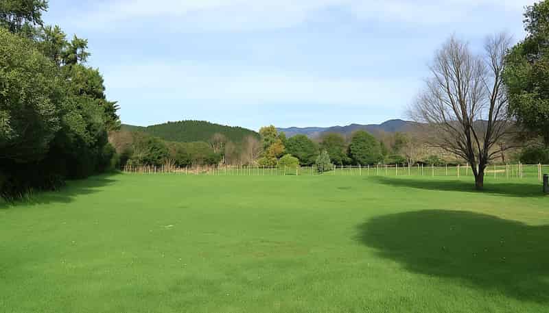 Lot 1/424 Tararua Road, Levin