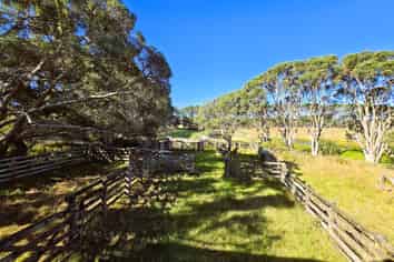  Mahuta Road, Dargaville