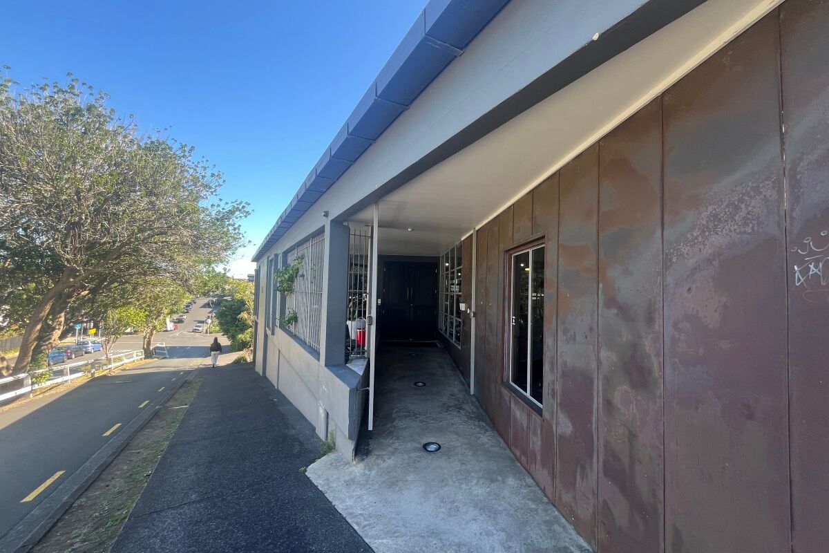 Popular Grey Lynn Character - Ansicht 3