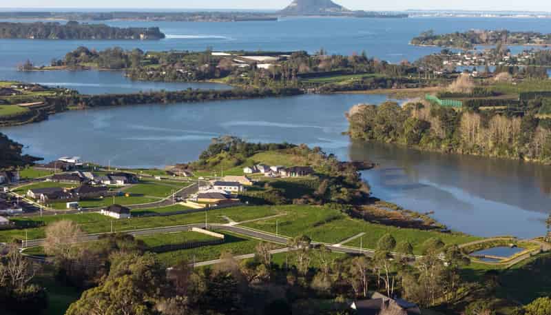 Lot 148/8 Flounder Drive, Omokoroa