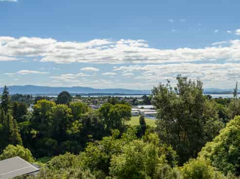 78 Little John Drive, Bellevue