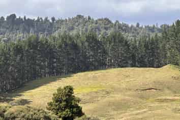 Lot 2 Mataro Road, Onaero
