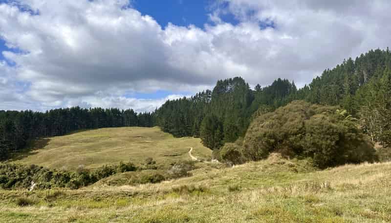 Lot 2 Mataro Road, Onaero