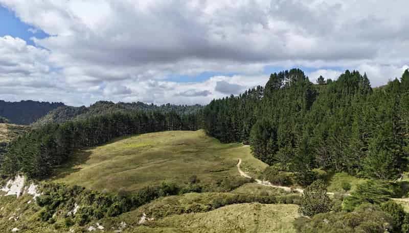 Lot 2 Mataro Road, Onaero