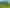 Otago - Address withheld