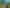 Otago - Address withheld