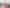 Wellington - Address withheld