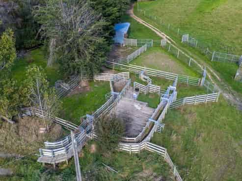 659 Limestone Valley Road, Cave
