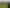 659 Limestone Valley Road, Cave