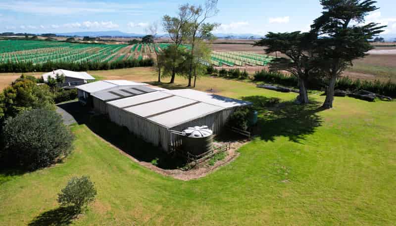 259 Redhill Cemetery Road, Te Kopuru