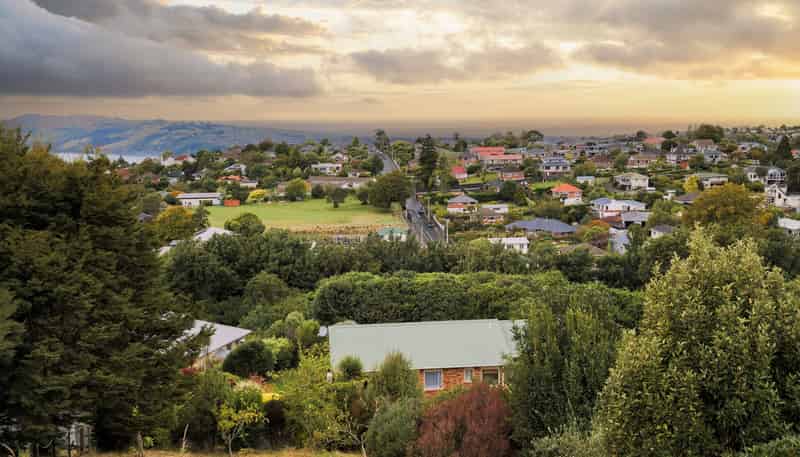 11 Kereru Close, HALFWAY BUSH