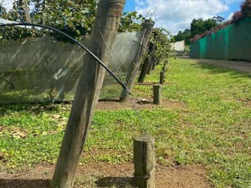 Lot 2 2374 State Highway 10, Kerikeri
