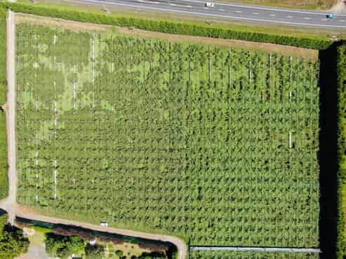 Lot 2 2374 State Highway 10, Kerikeri