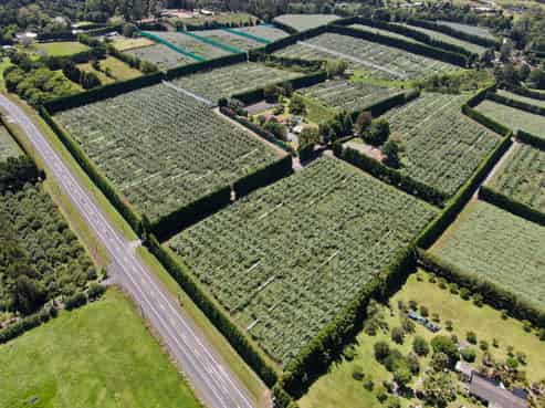 Lot 2 2374 State Highway 10, Kerikeri