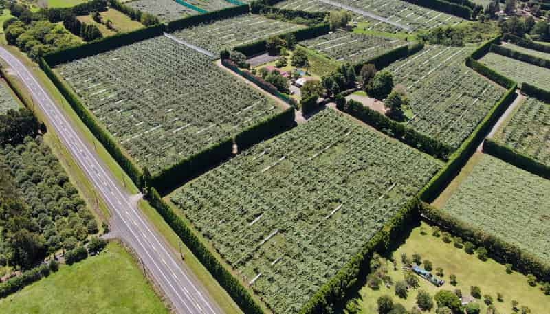Lot 2 2374 State Highway 10, Kerikeri