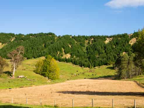  Ormond Valley Road, Ormond