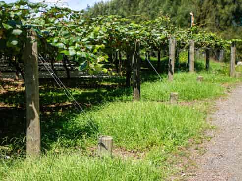 2412C State Highway 10, Kerikeri
