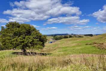 Lot 1 State Highway 1, Okaihau