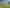 150 Walford Road, Katikati