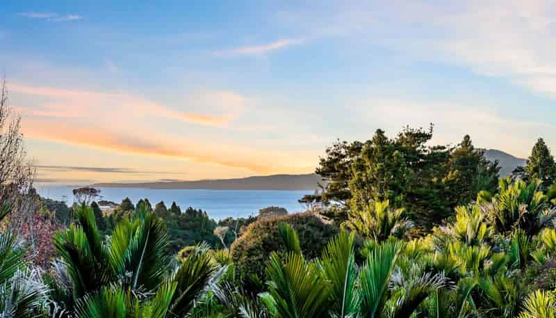 15  Fern Glen Road South, Saint Heliers