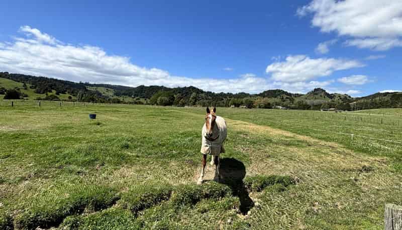 Lot 2, 74 Pukepoto Road, Okaihau