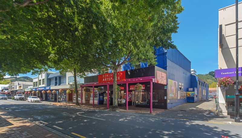 114 Hardy Street, Nelson